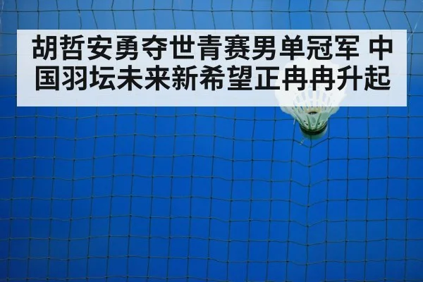 badminton training court
